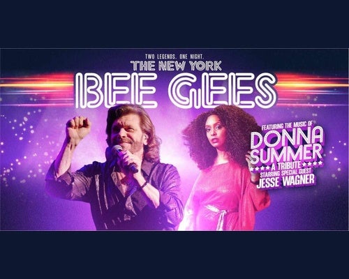 More Info for New York Bee Gees
