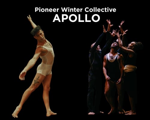 More Info for Pioneer Winter Collective - Apollo