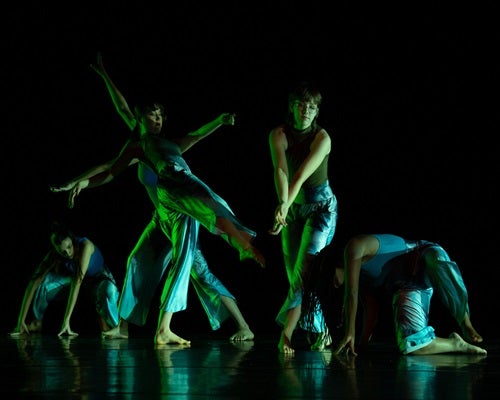 More Info for NSU Dance Works 