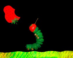 Family Fun The Very Hungry Catepillar_thumbnail.jpg