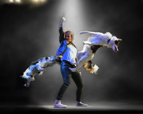 More Info for Mutts Gone Nuts – Unleashed!