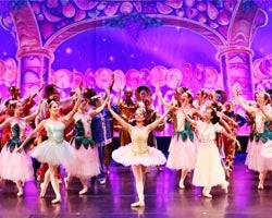 Dining Broward Center For The Performing Arts Meg Secgreto S Dance Centre