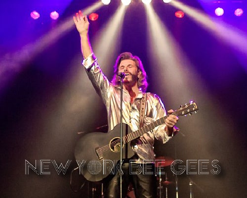 More Info for New York Bee Gees