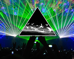 More Info for Paramount’s Laser Spectacular featuring the Music of Pink Floyd