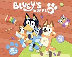 More Info for Bluey's Big Play
