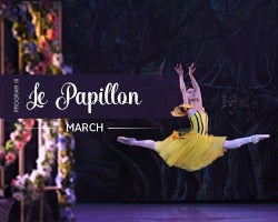 More Info for Arts Ballet Theatre of Florida: Le Papillon