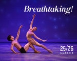 Arts Ballet Theatre of Florida