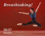 Arts Ballet Theatre of Florida