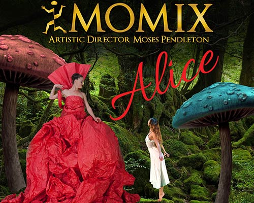 More Info for Momix: Alice