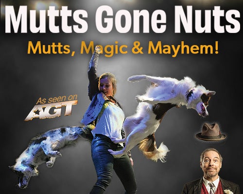 More Info for Mutts Gone Nuts: Mutts, Magic and Mayhem!
