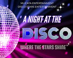 More Info for A Night at the Disco: Where the Stars Shine