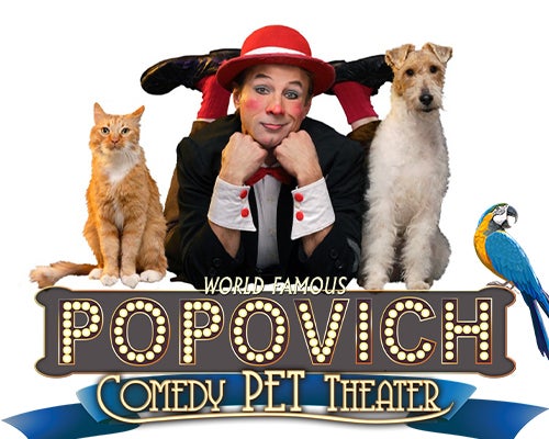 More Info for The World Famous Popovic Comedy Pet Theater