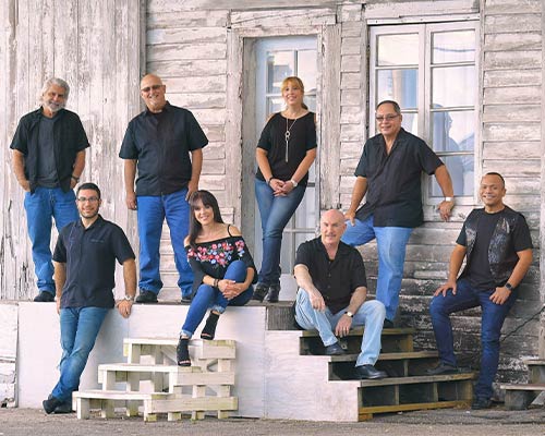 More Info for Top of the World: A Carpenters Tribute