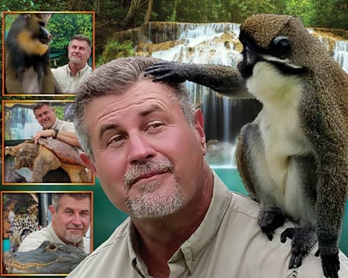 More Info for Wild World of Animals