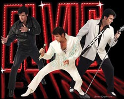 More Info for Chris MacDonald's Memories of Elvis in Concert