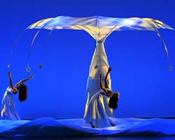 tn_momix_MS23116.jpg